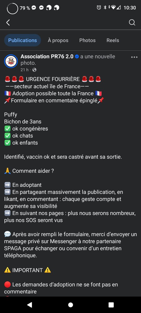 SOS fourrière Ile de France ⚠️ Sauvons la vie de Puffy ⚠️ Recherche adoptant France entière ⚠️ Association PR76 facebook.com/share/p/1AhTQY…