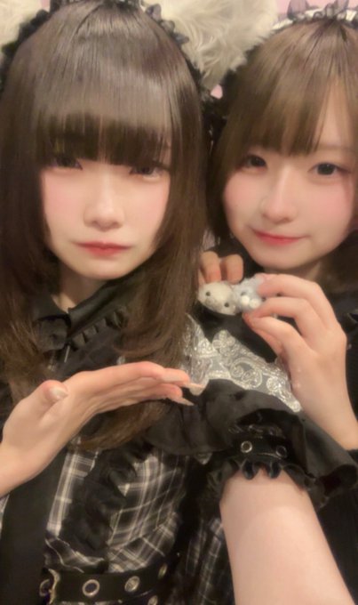 Cafe＆Bar けもみみ