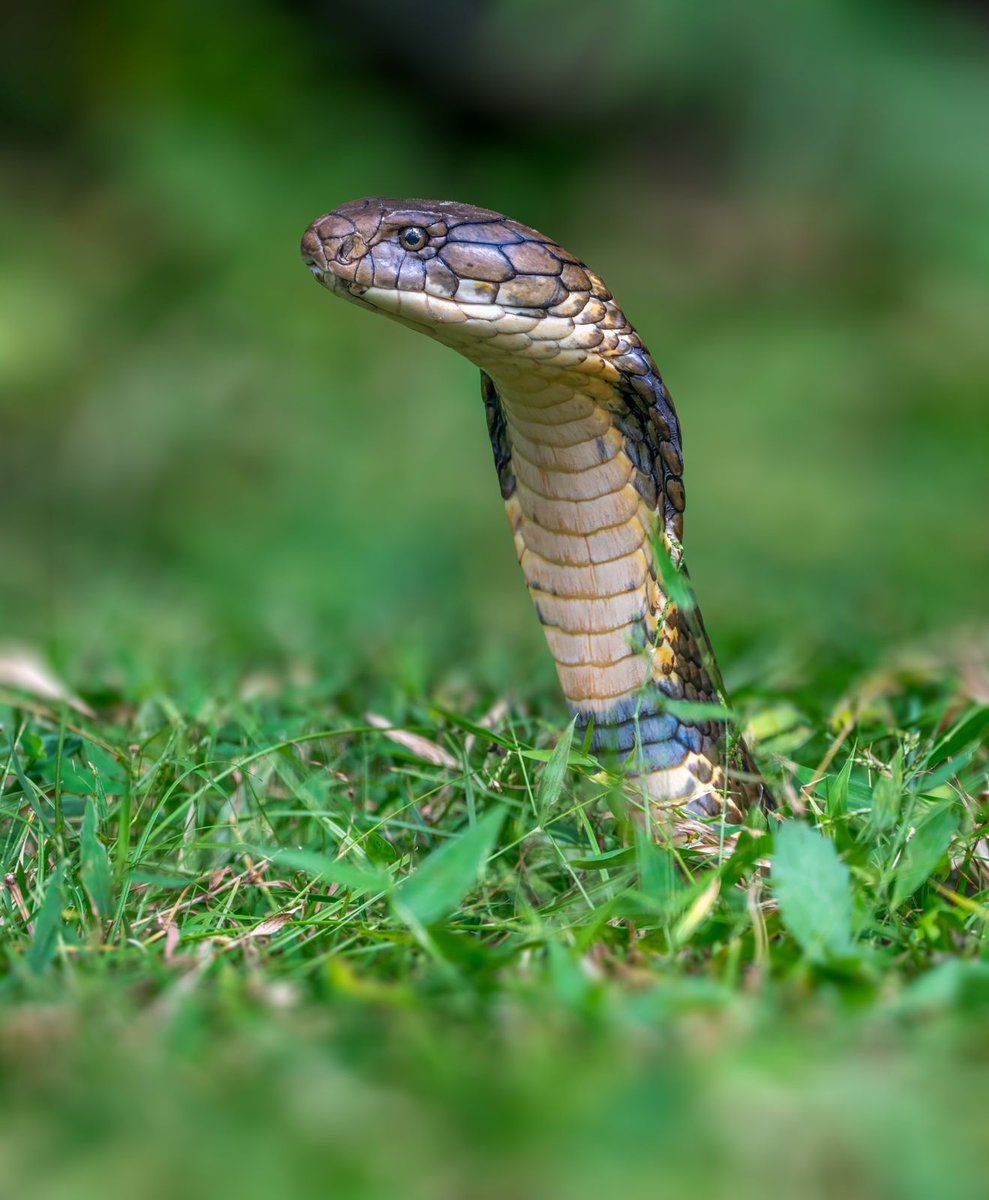 Mohit Mehta tweet media