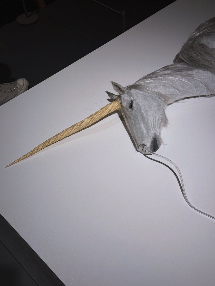 藝大の博士審査展にて平野真美さん（先端芸術表現研究領域）の《蘇生するユニコーン》《ランド・ストランディング》。平野さんの作品は前もどこかで観ているのだけど、「生きているような」「死んでいるような」生命感が出ていて掻き乱される。近年のアートワールドのいわゆるな流行とは離れたところに
