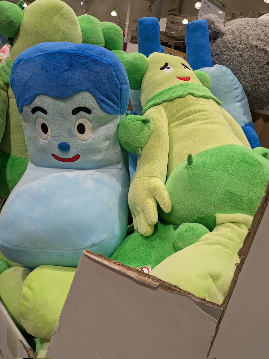 コストコ行ったらサボさんいたコッシーと