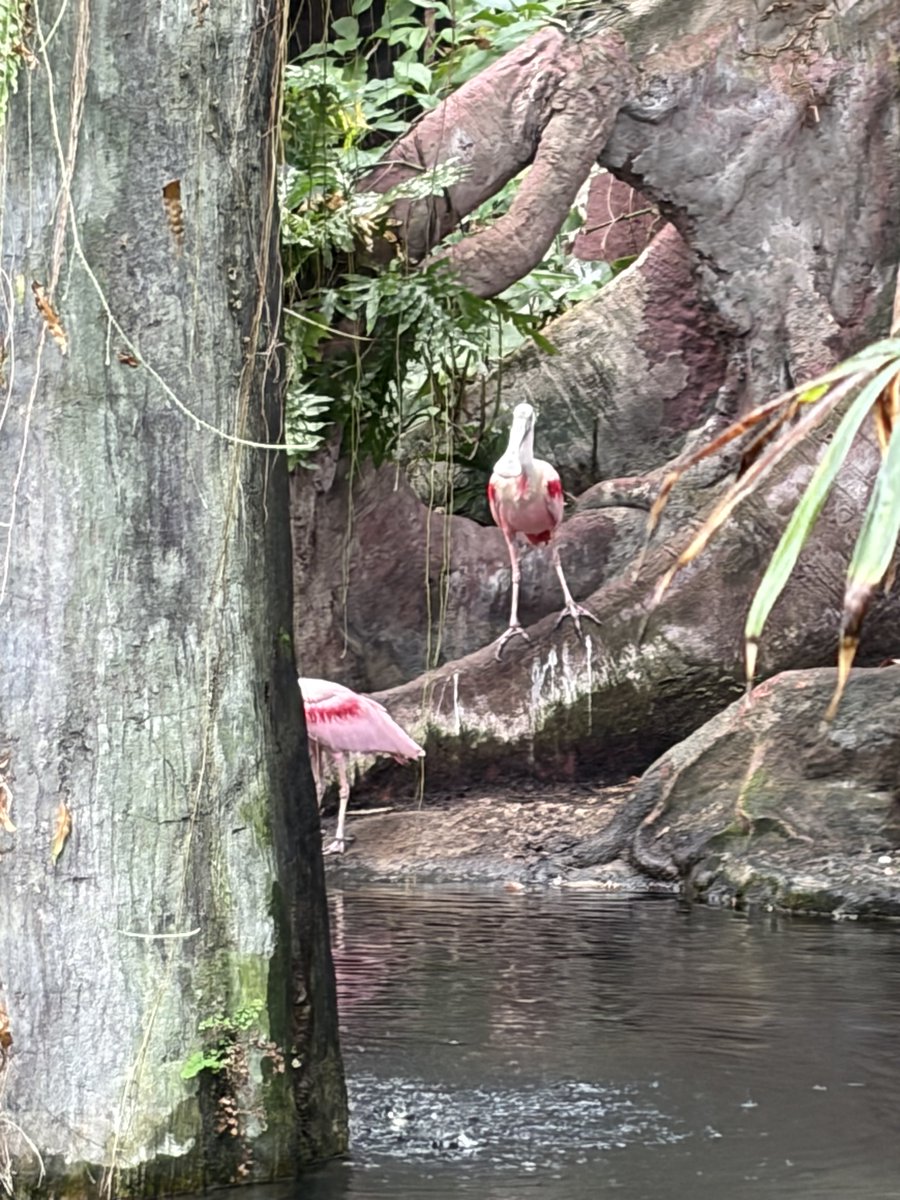 Visita al CosmoCaixa.