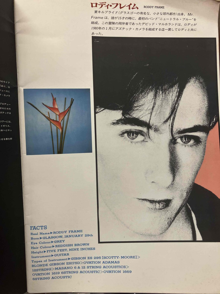 立川2号店書籍コーナーより、1985年のAztec Camera初来日ツアーの