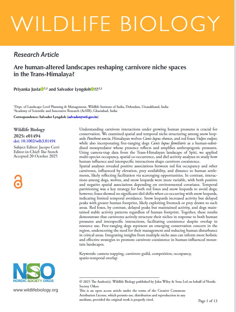 Wildlife Institute of India tweet media