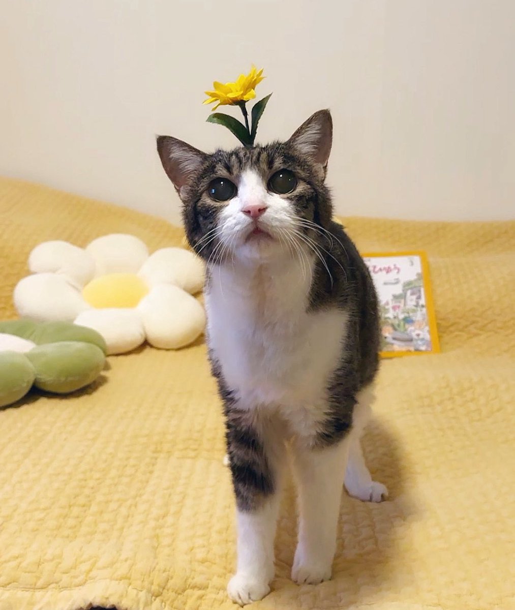 よろしくお願いしますﾇｯ…