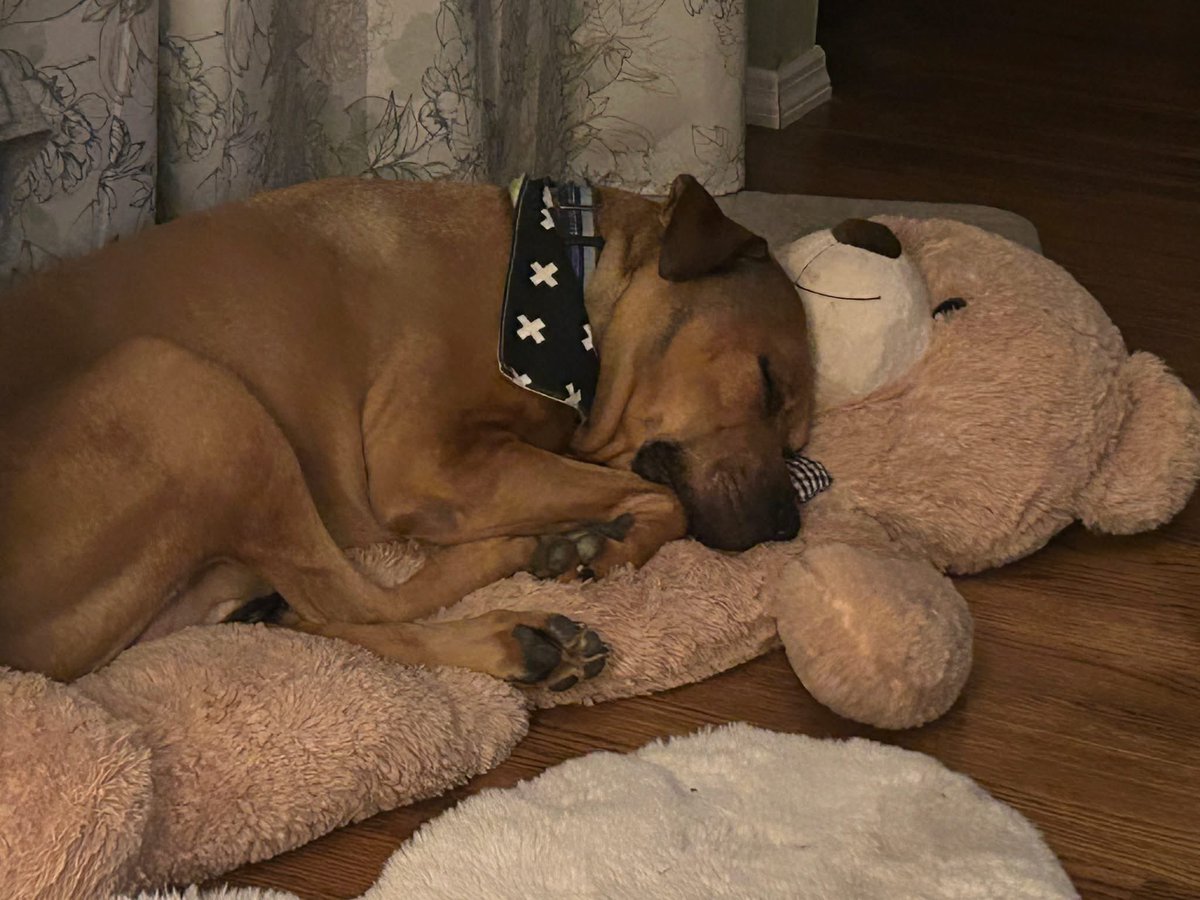 Chefboiaudie | KICK tweet media