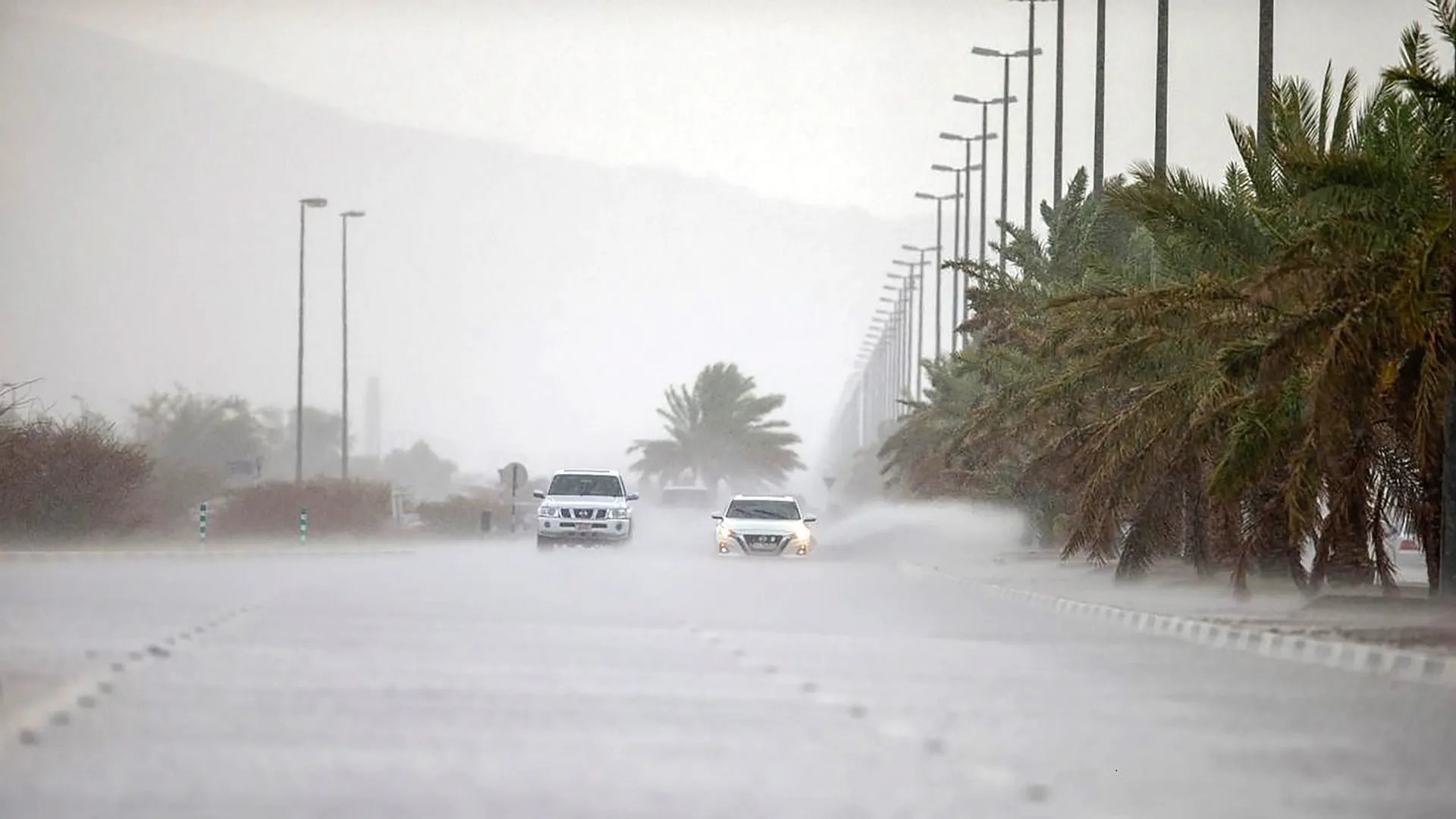 في ظل الحالة الجوية الحالية، تؤكد الهيئة الوطنية لإدارة الطوارئ والأزمات والكوارث أن سلامة المجتمع أولوية، وتدعو الجمهور الكريم إلى الالتزام بالتعليمات الصادرة ومتابعة القنوات الرسمية حفاظًا على السلامة. #الشارقة24 