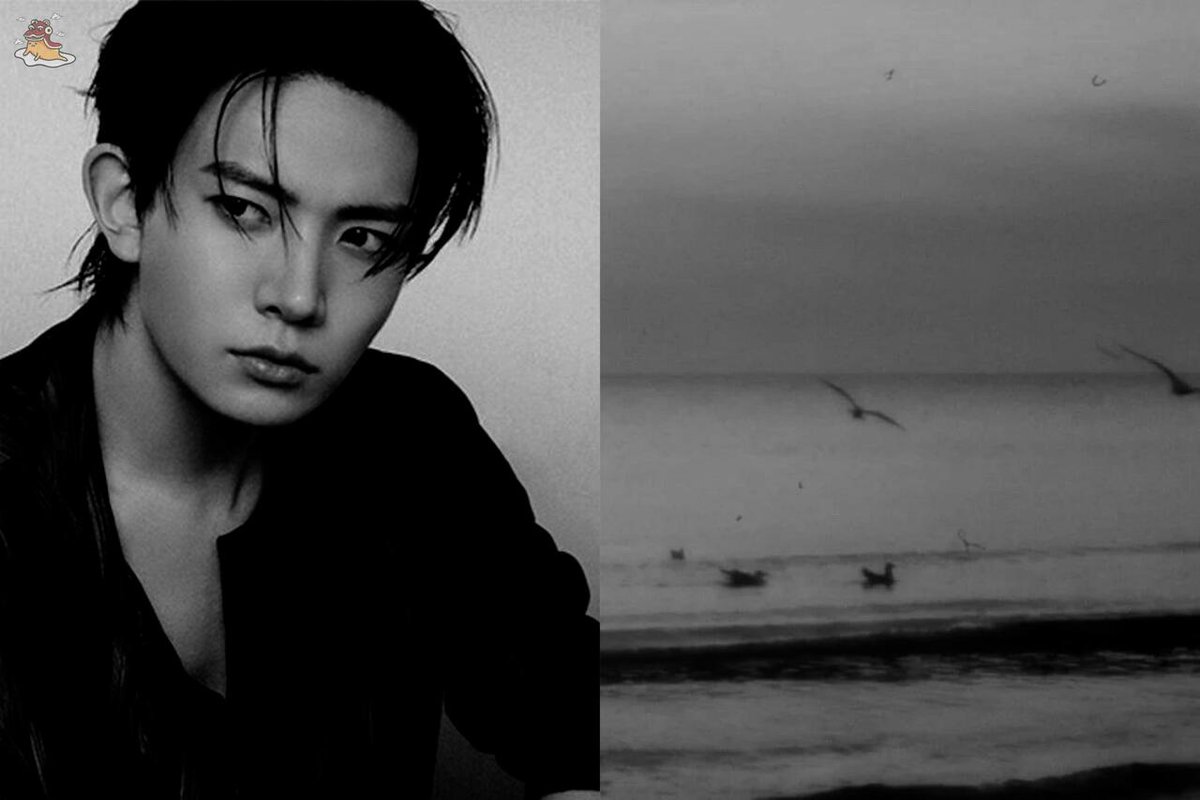 SOC-IE 💛 ˚☽˚.⋆ tweet media