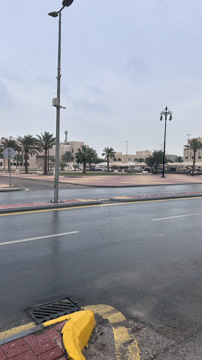 Noura tweet media
