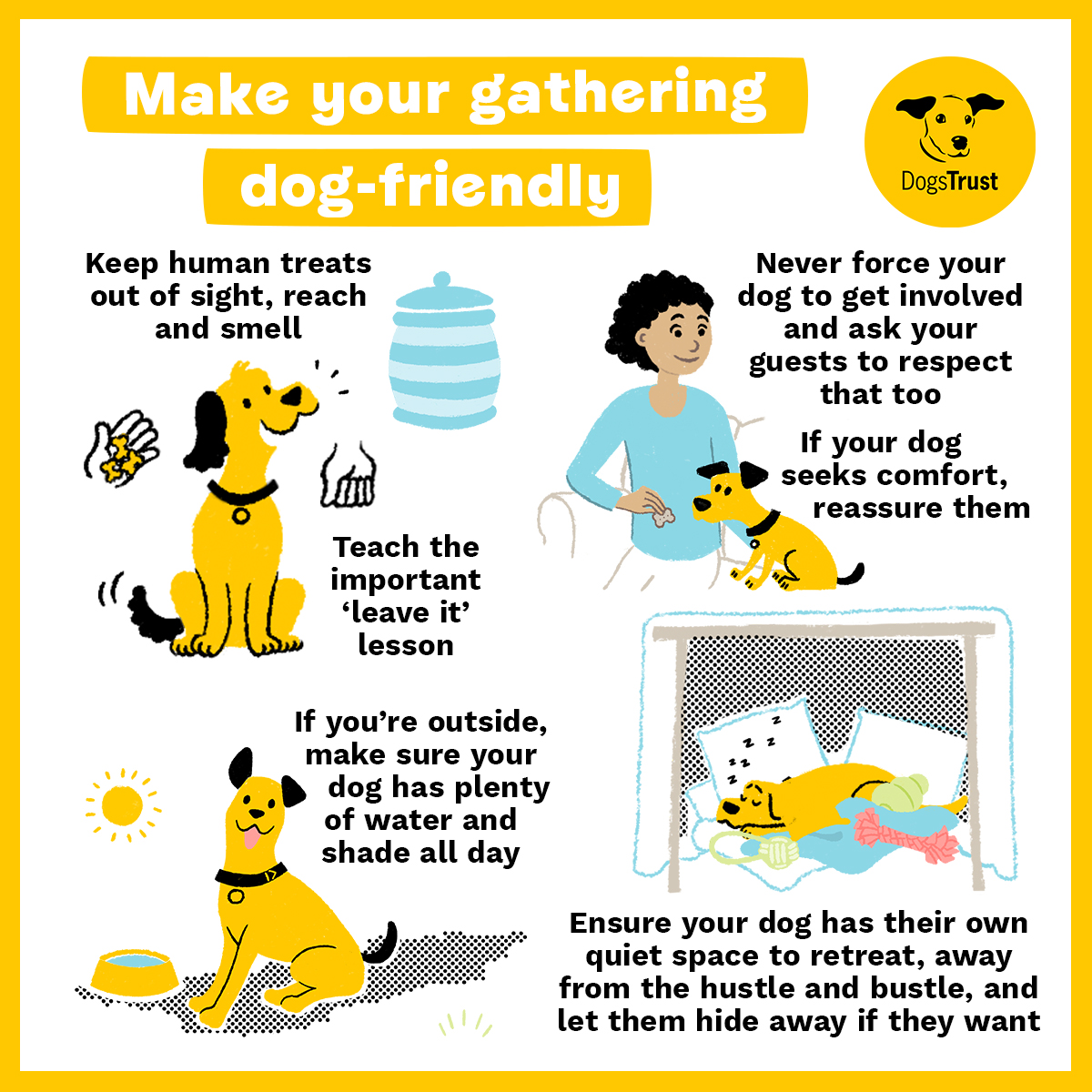 Dogs Trust 💛🐶 tweet media