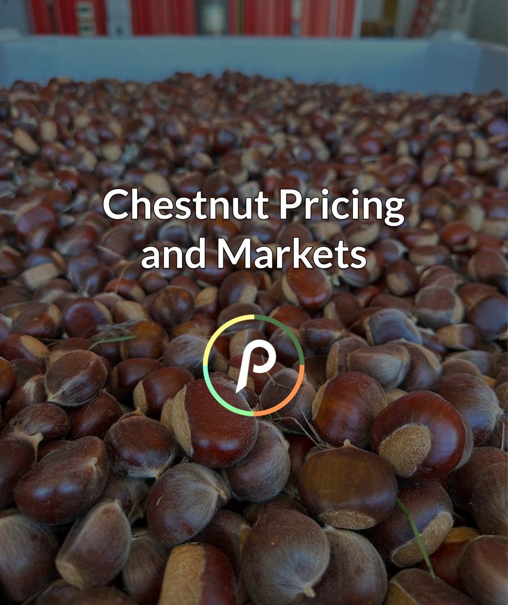 Propagate tweet media