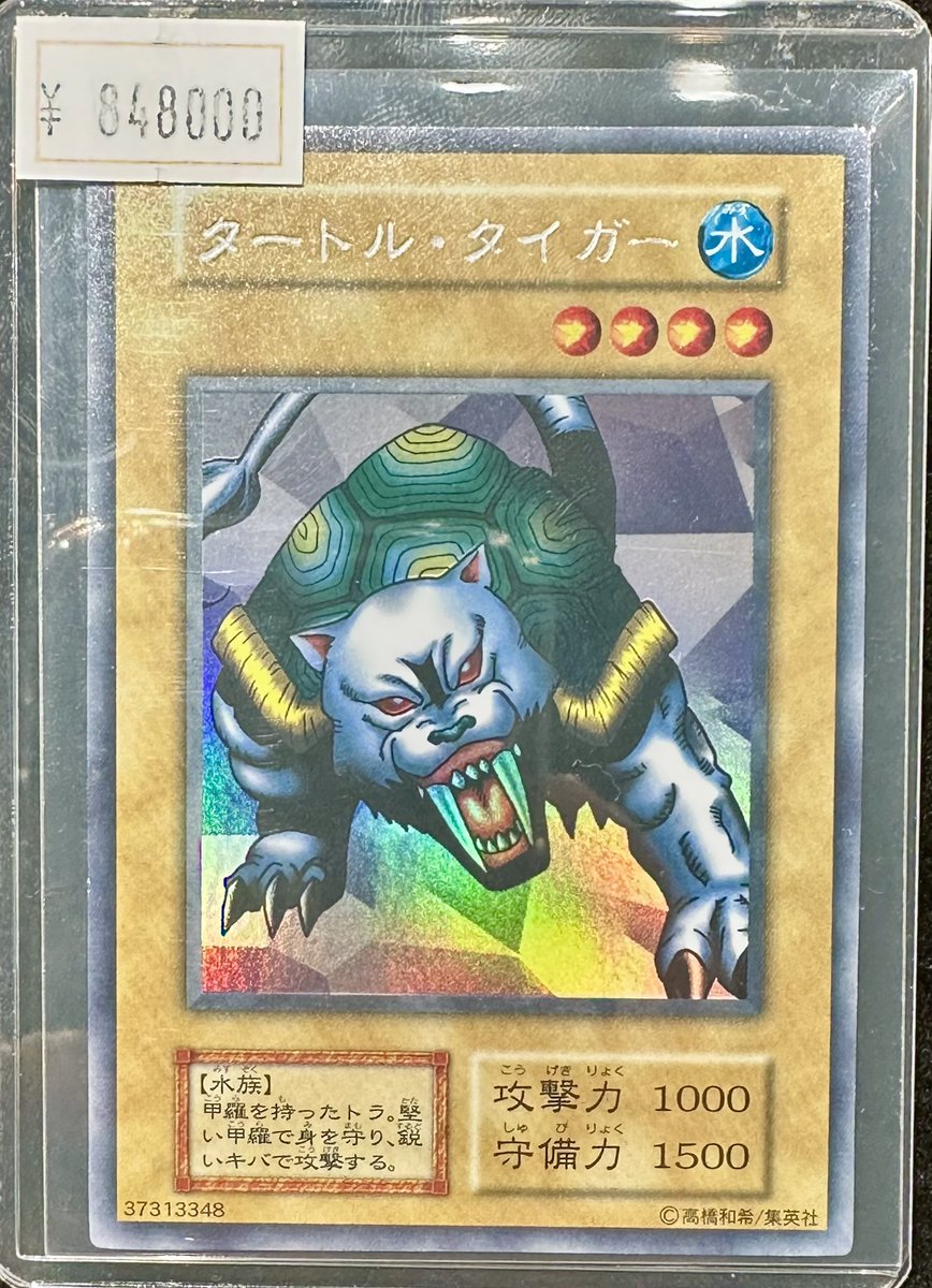 VALUABLE CARD TOKYO 商品紹介📢】 ／ 🐢🐯タートル・タイガー