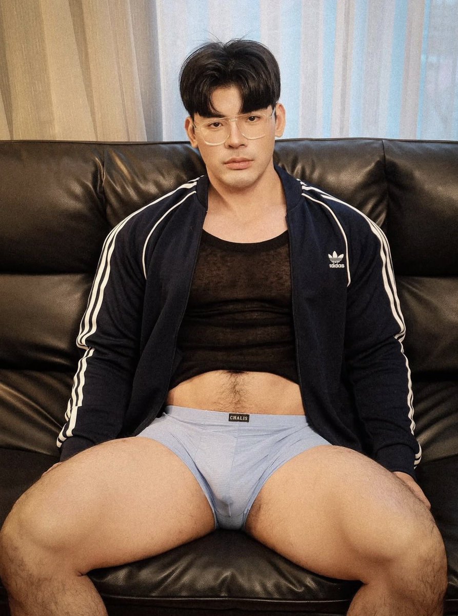 หมีเติร์ด