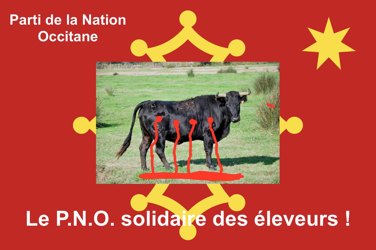 P.N.O. (@partidelanation) on Twitter photo 