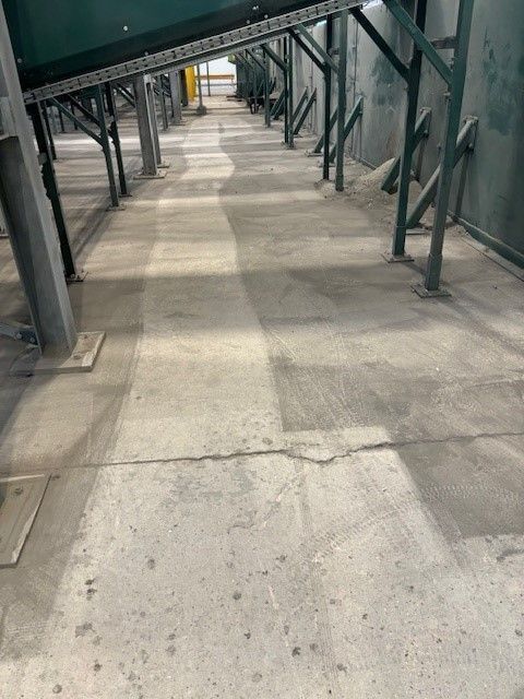 We had a fantastic demonstration in Ellesmere Port recently, showcasing how the S10 Walk-Behind Sweeper tackles dust control from the ground up. 

Plan for your new year and book a FREE on-site machine demonstration with us today at buff.ly/XeLHd9E 

#CleanedWithTennant