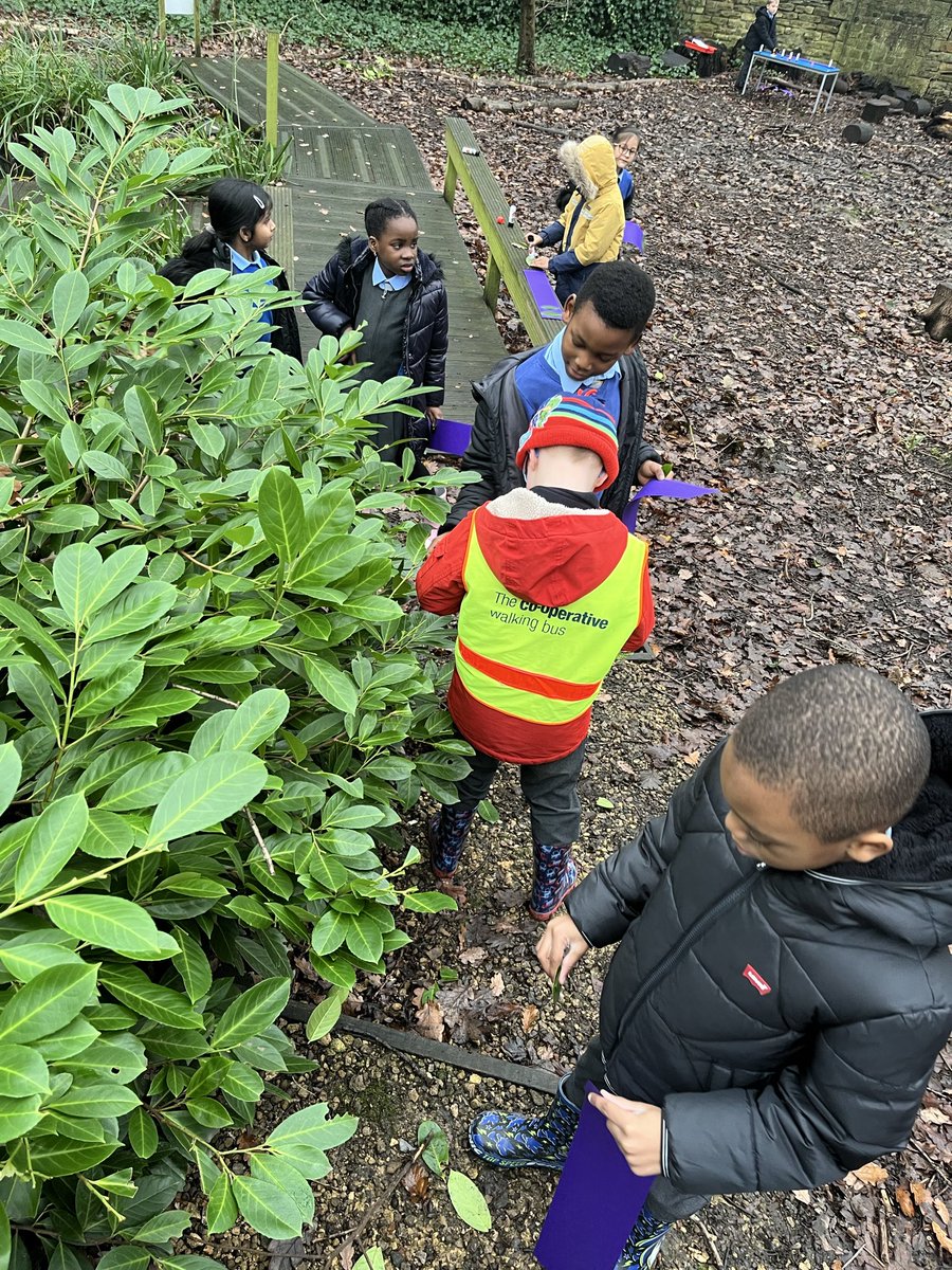 St Patrick's Catholic Primary Academy, Hudds tweet media
