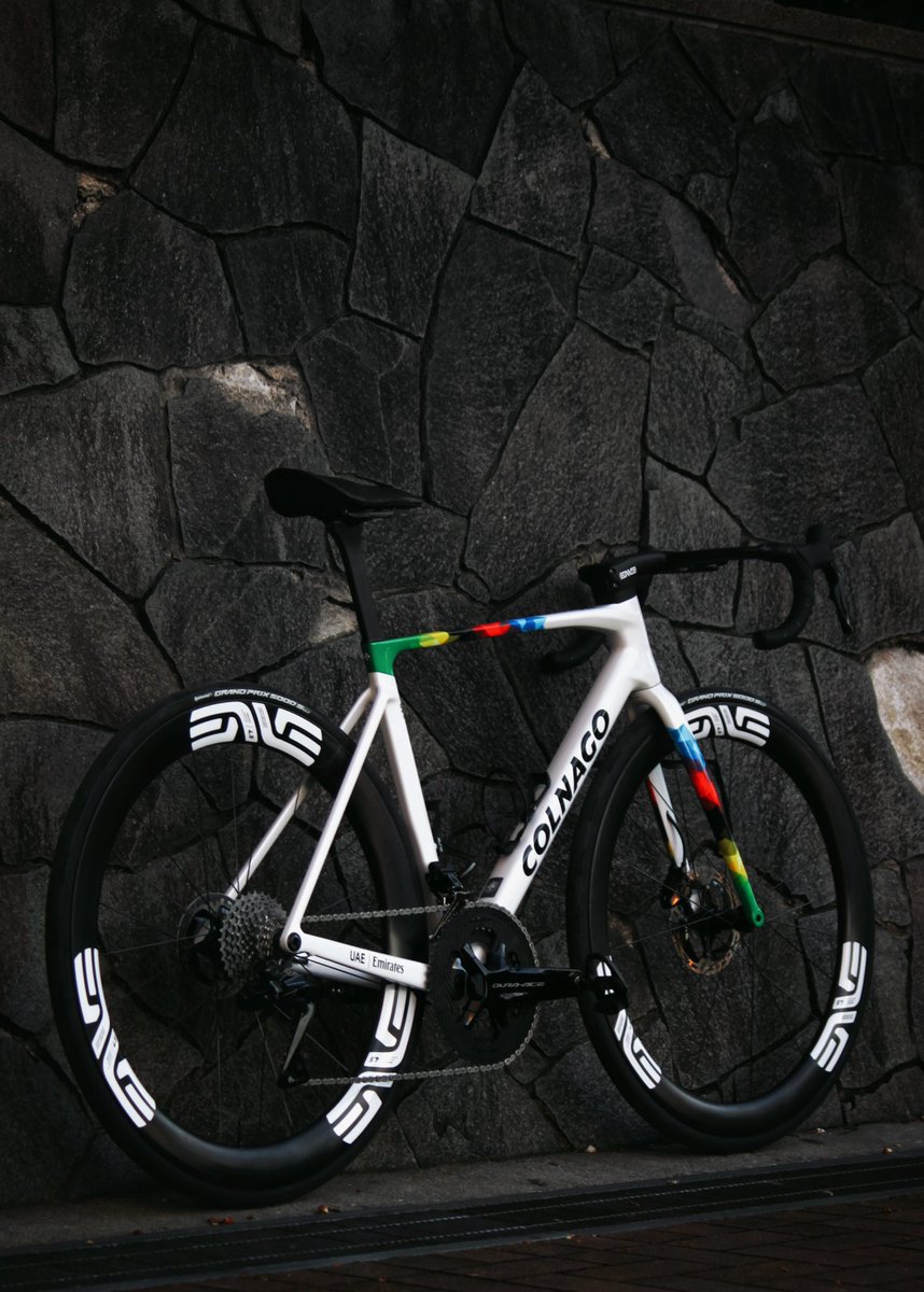 カピバラ (@CapybaraLIZED) / Posts / X