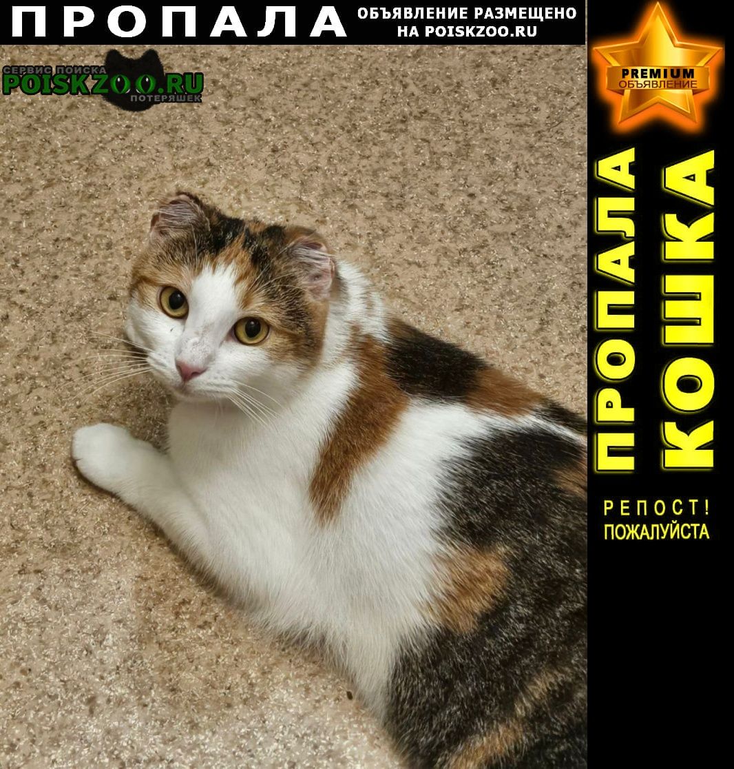 ⭐ ПРОПАЛА КОШКА В КРАСНОСЕЛЬСКОМ Р-НЕ САНКТ-ПЕТЕРБУРГ ⭐ PREMIUM-Объявление
Подробнее на сайте: POISKZOO.RU/191404
Пропала кошка Чуня ... вышла из дома погулять во двор и не вернулась. Красносельский р-н Володарского… poiskzoo.ru/board/read1914…