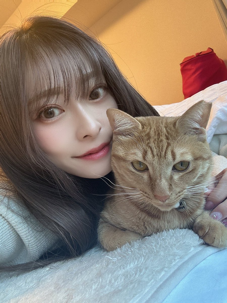 ここページです♡ VZONE本部公式アカウント (@Vzone_Official) / Posts / X