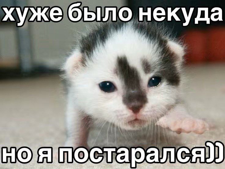 Nickro666's tweet photo. https://t.co/9hIBRQASge