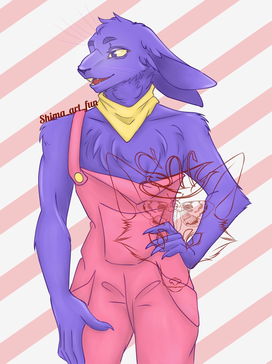 Shima_art_fun21's tweet photo. #TheAmazingDigitalCircus #theamazingdigitalcircusfanart #TADC #tadcfanart #Pomni #pomniTADC #JAx #jaxTADC #funnybunny #fanart #art #drawing https://t.co/IX7JvctaNQ