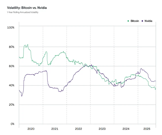 🚨Bureau : La Volatilità del Bitcoin in Calo: Previsioni di Stabilità Entro il 2026