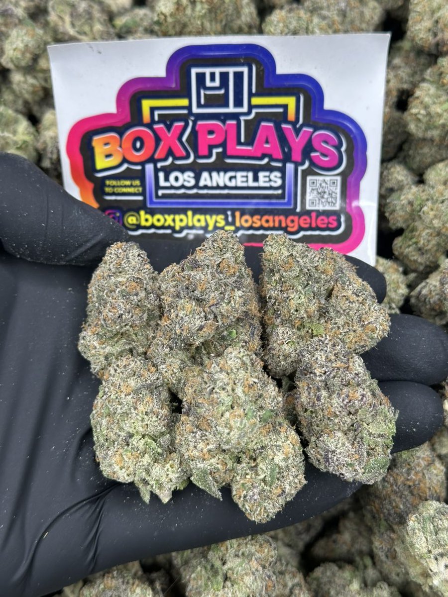 SUPER RUNTZ $1,400
+1 (530) 448-8294 📲
<a href="/boxplays_la/">Box Plays LA</a>