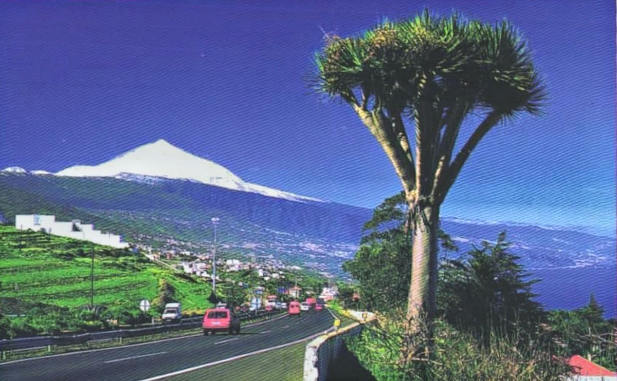 AntesAhoraTfe's tweet photo. Un Antes!
Desde el desaparecido mirador del #Sauzal.
Autovía del norte con el Teide nevado.
#Tenerife
Año1985
📷 Marcel Jacquet
(1930-2015 †)
📷#AntiguaTenerife https://t.co/3QDOt7xceX