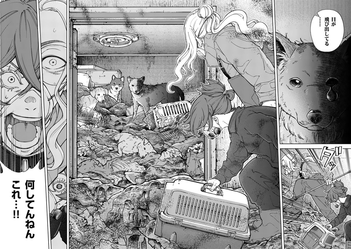 しけたいぬ (@sikesikeinu) / Posts / X