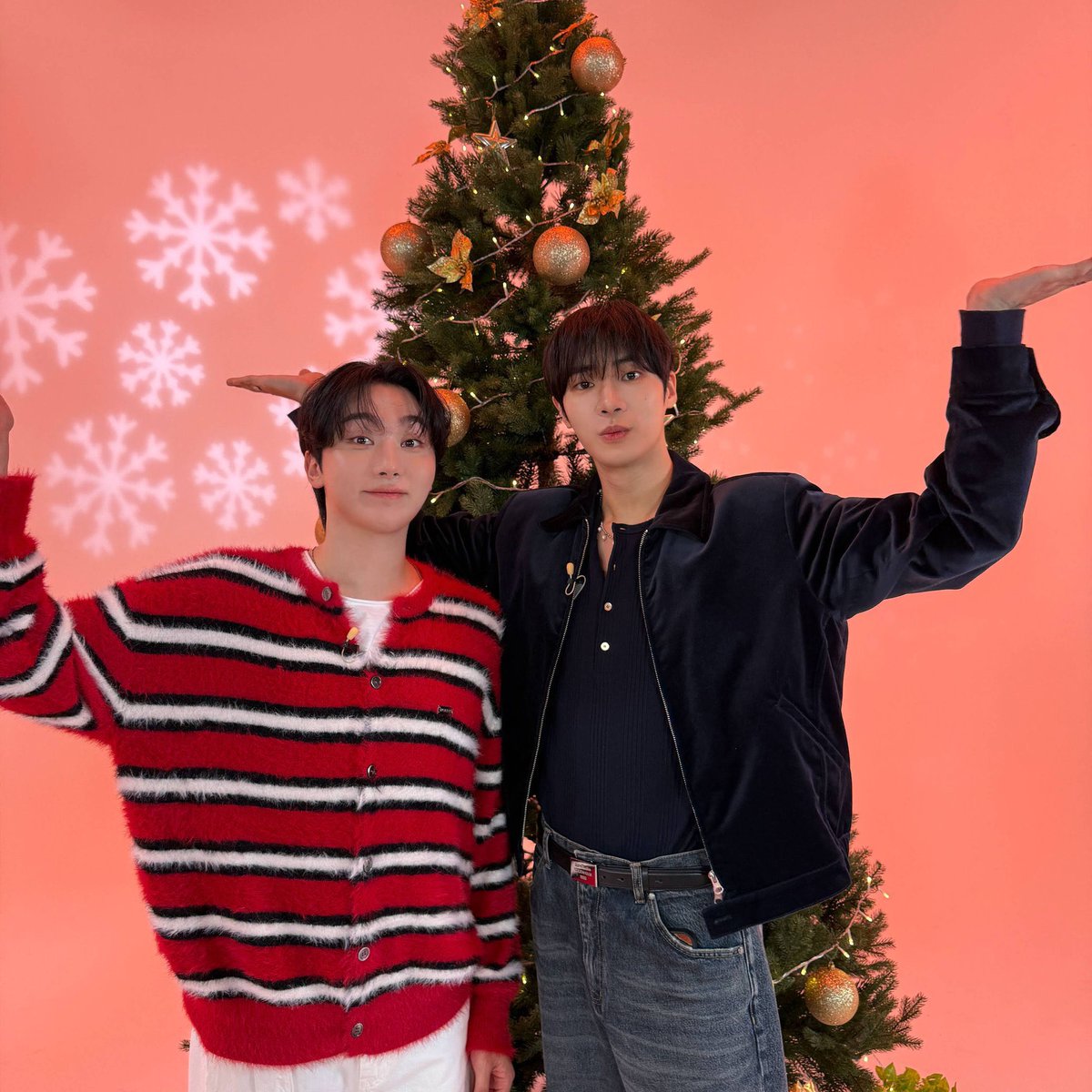 kdrama_menfess's tweet photo. •kdm• Choo Youngwoo dan Boo Seungkwan bakal tayang 25 Desember di youtube channelnya https://t.co/05jLkvt4BD