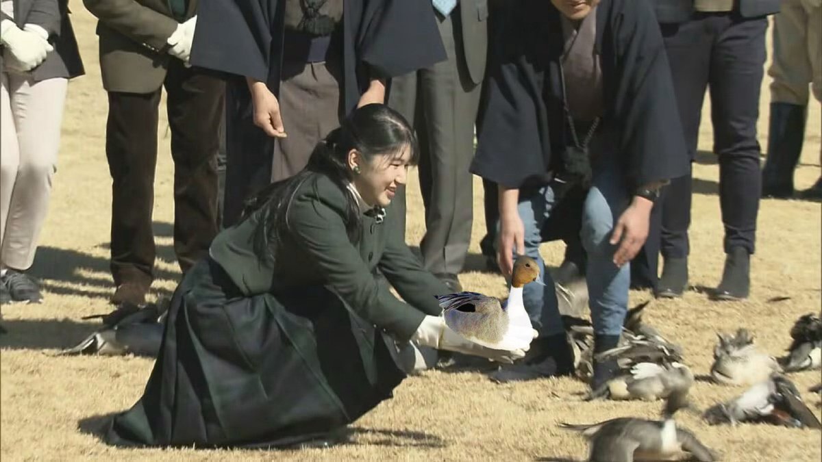 ちょこざい (@Z7ZX001) / Posts / X