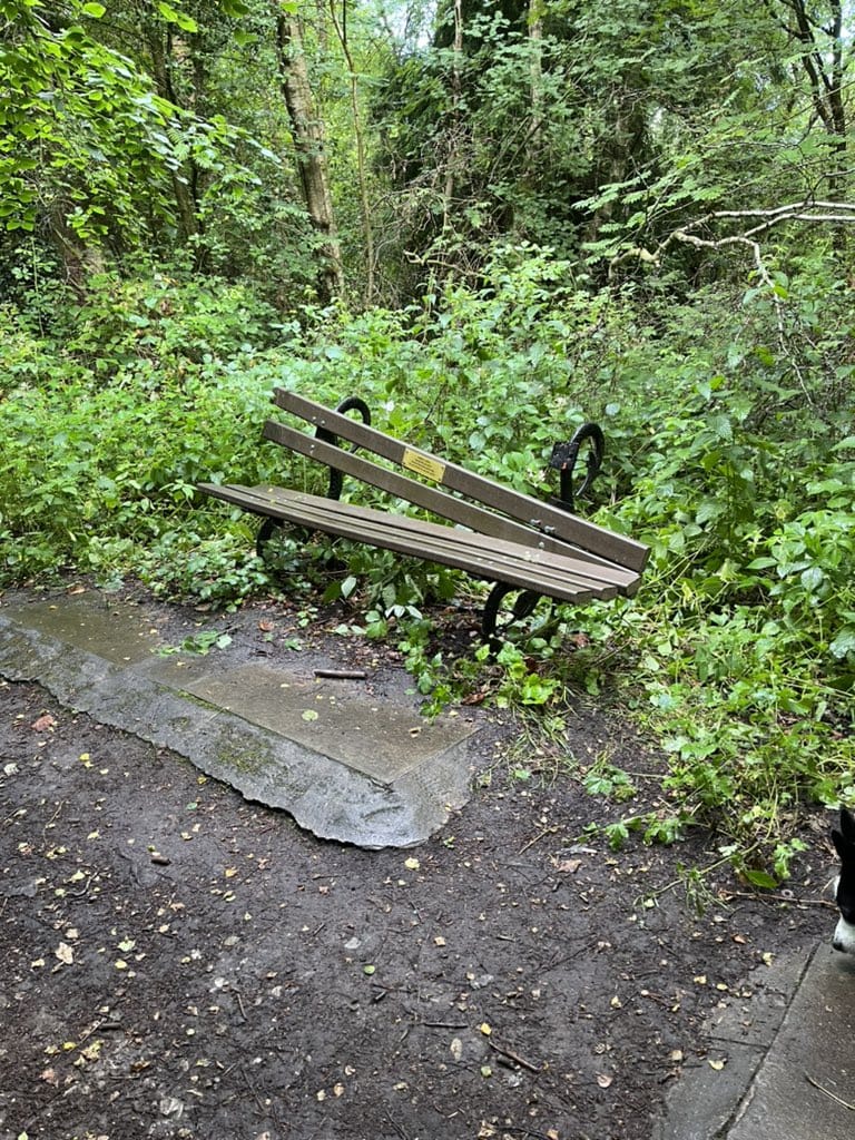 🌳Pinewoods Harrogate🌳 tweet media