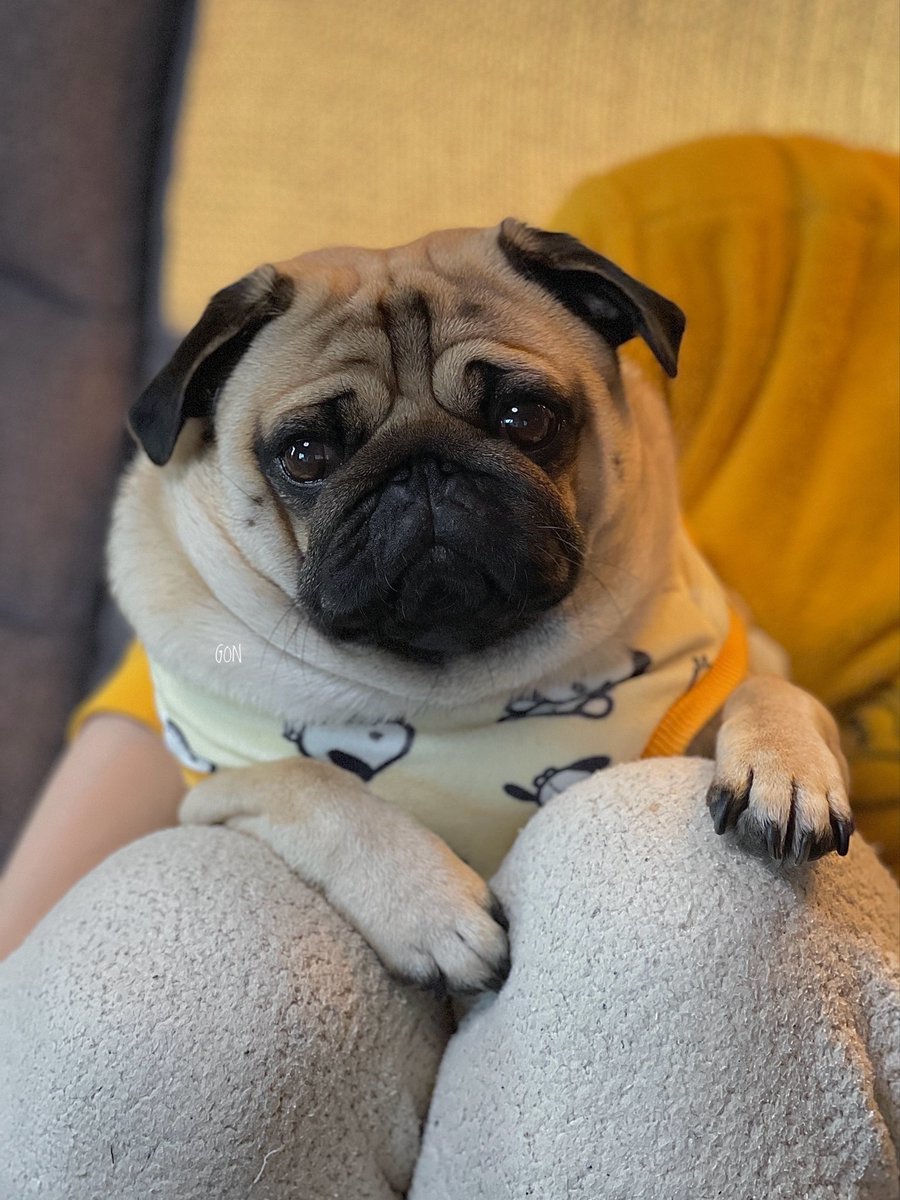 僕ちゃんの特等席！！👑