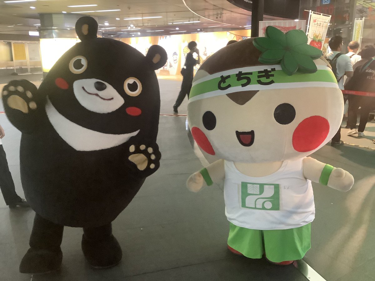 kazuhiko🇹🇼1/28-2/5東京行き (@kazuhikotsai) / Posts / X