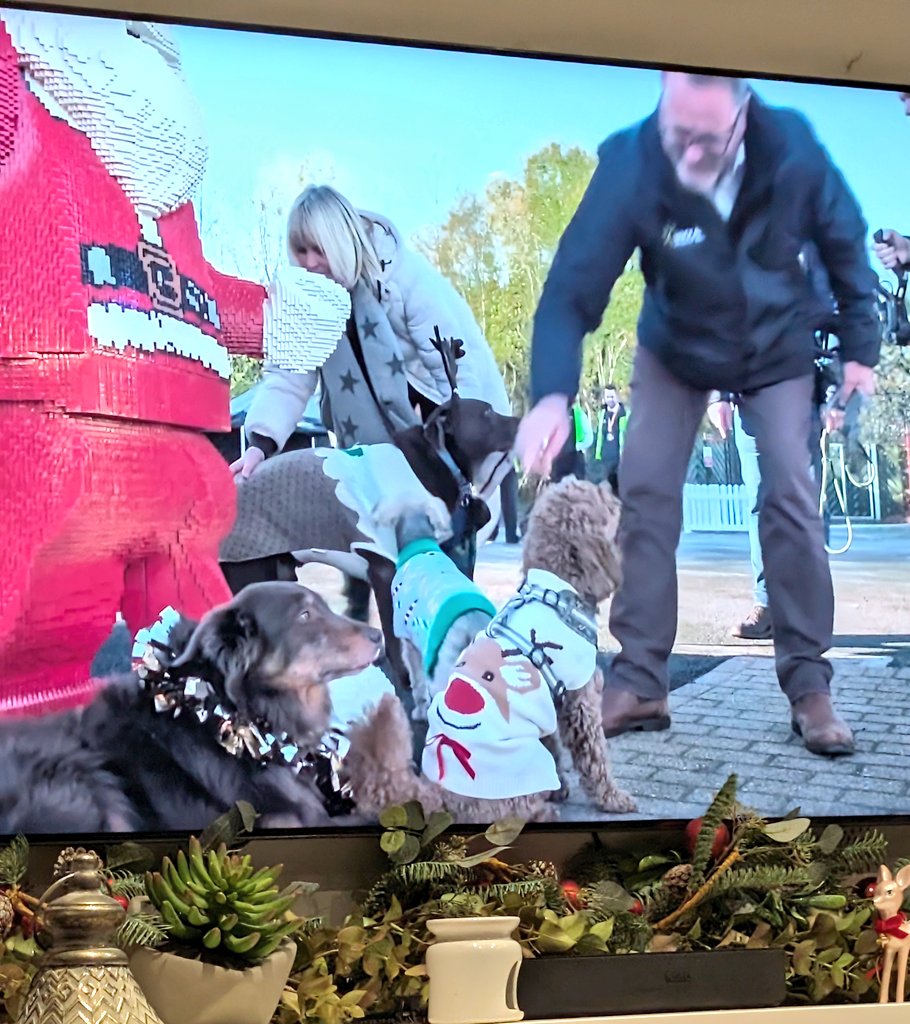 Chessington Buzz tweet media