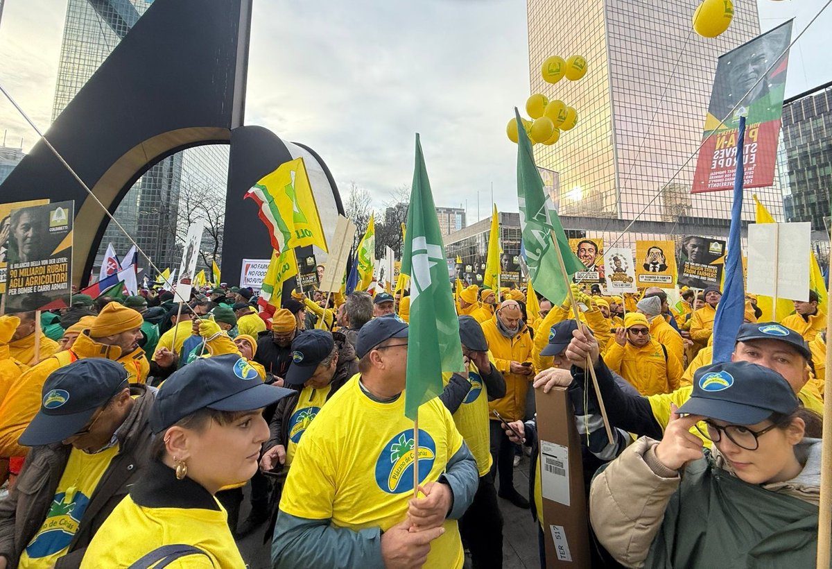 Los representantes del sector🍌 preparados ya en el punto de encuentro donde arranca la manifestación del campo europeo en Bruselas🚜