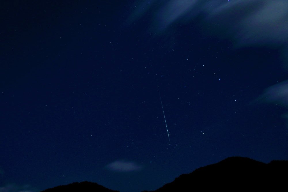 Photoinsect's tweet image. ふたご座流星群🌠
流れ星見るのとても好きなんですが、いつも星に願いをと、お願いし損ねています笑
#ふたご座流星群