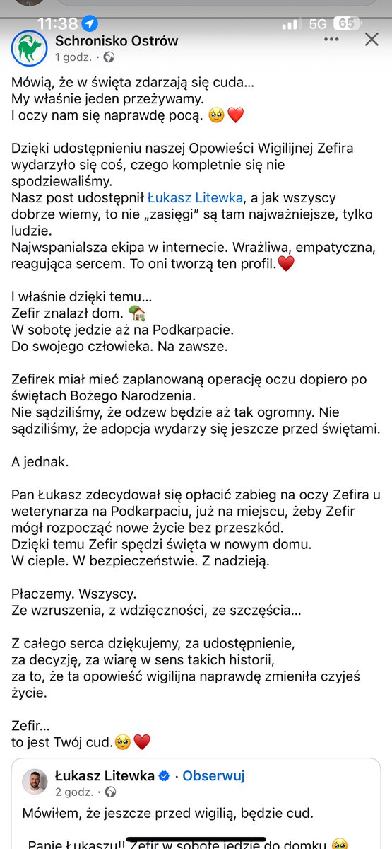 xxtala02's tweet photo. czytam coś takiego i dosłownie lecą mi łzy same, a jestem w pracy😭 boże jakbym mogła spełnić jedno nierealne marzenie to nie chciałabym latać czy czytać w myślach, tylko żeby wszystkie psiaki na świecie miały dobre domki🥹🥹 https://t.co/C6Qo6HVEgr
