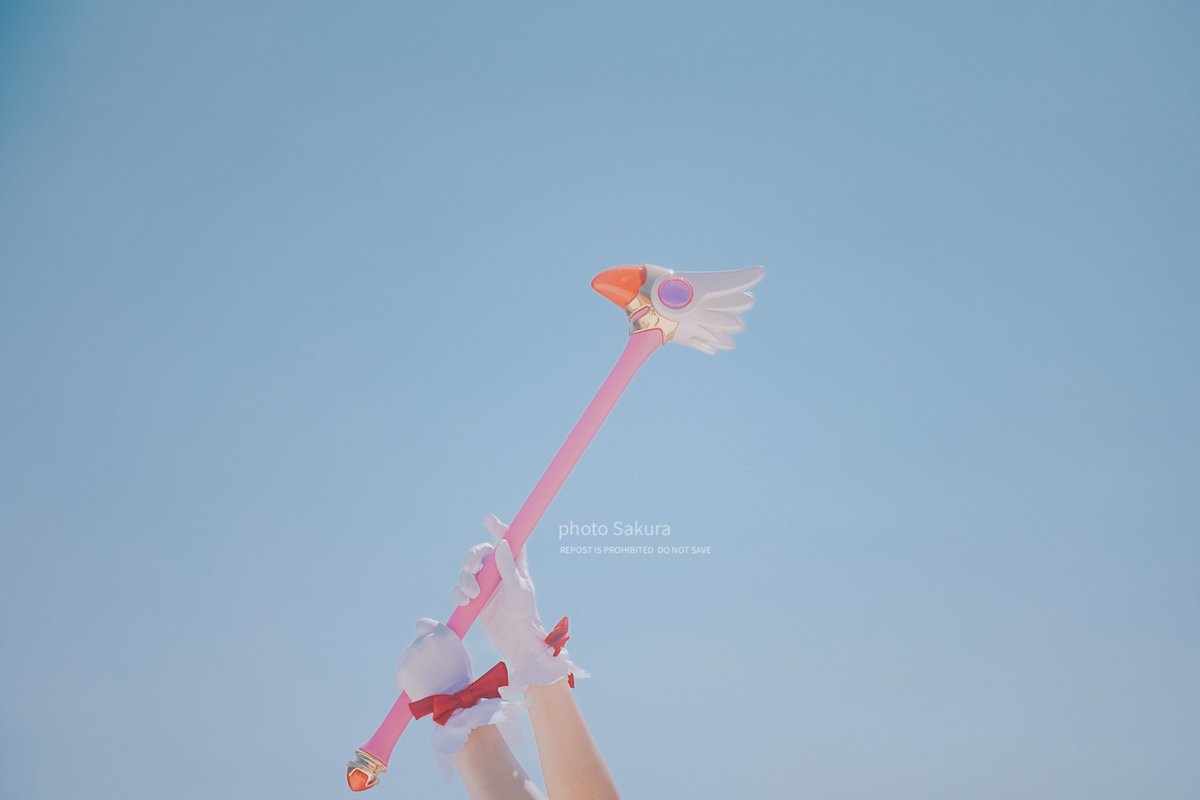 塩味🐳🐾 tweet media