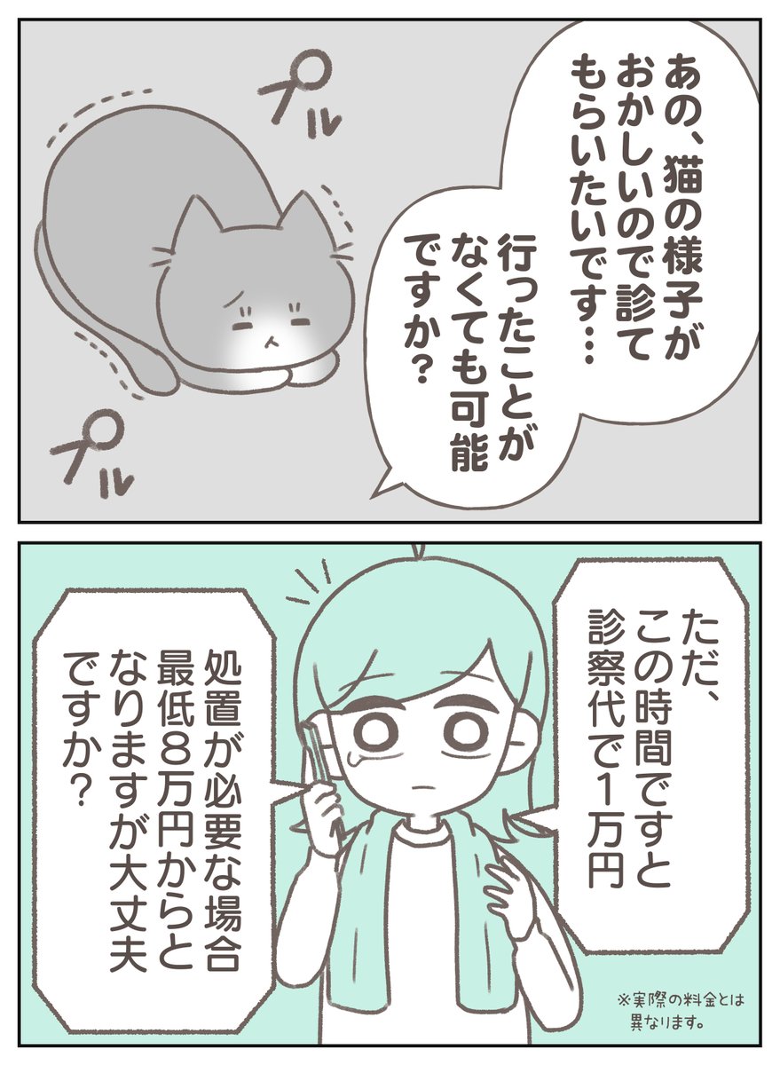 深夜に動物病院へ行こうと思ったが… 