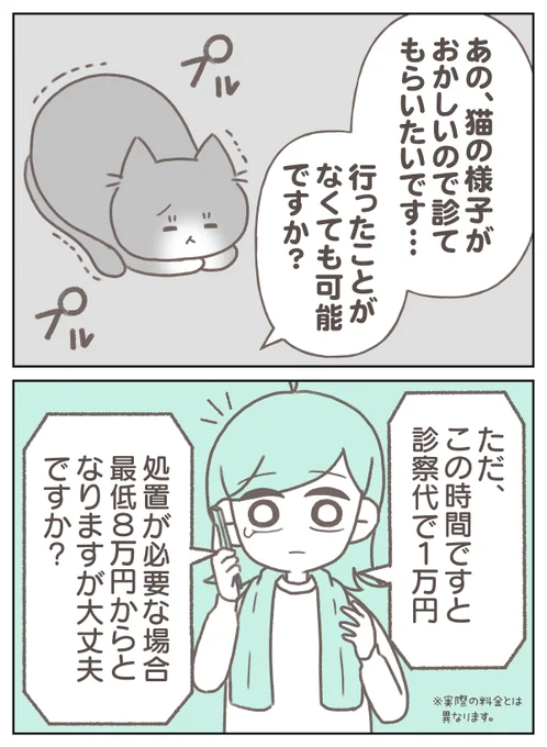 深夜に動物病院へ行こうと思ったが… 