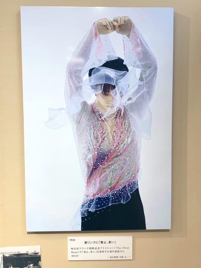 ブリオ (@tj06231) / Posts / X