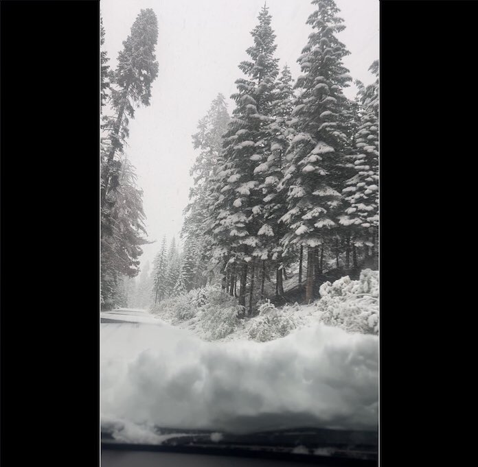 Bonne_de_Bod's tweet image. Dispatch From The Field:
Making our way (yes slowly but surely) to a hiking point to meet our forest ecologist, so we will be swapping snow chains for snow boots soon. It certainly is a magical winter wonderland!