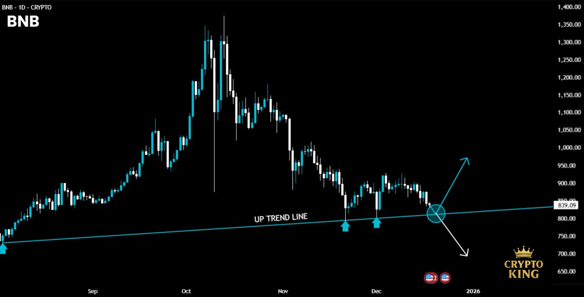 $BNB is sitting at a massive crossroads. 

We are currently testing a major multi-month Up trend line. 

This level has acted as rock-solid support since August.

Bull case: Bounce here leads to a recovery toward $950+.

Bear case: A clean break below opens the door to $700.