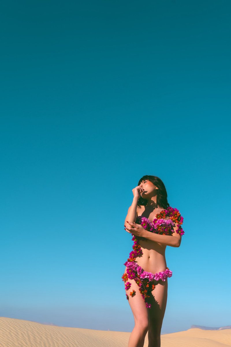 lorem ipsum 📸 tweet media