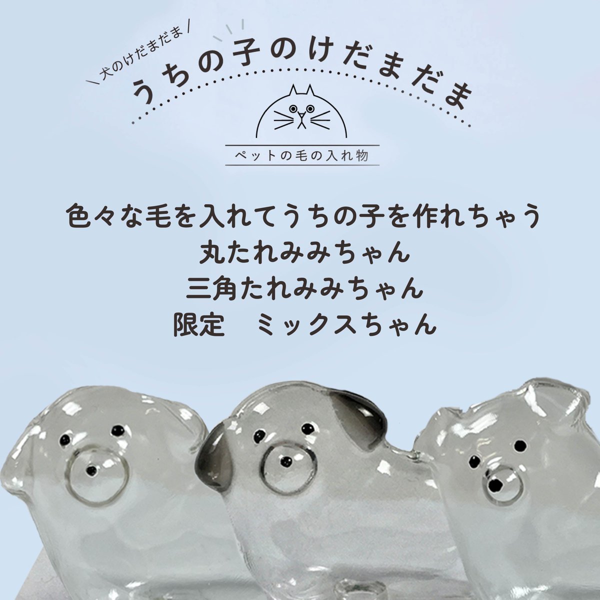 うちの子のけだまだま