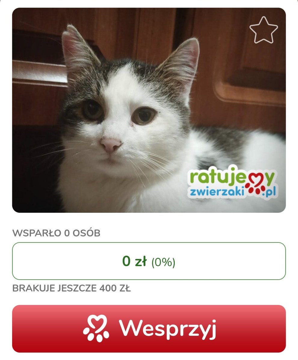 Lalek – bezdomny kocurek z rzeszowskiego osiedla 🐾 

Zmarznięty i głodny, dostał szansę na lepsze życie dzięki kastracji i badaniom.

Na zbiórce 0 zł / 0 osób 😔 Brakuje 400 zł.

Pomóż lub udostępnij 👉 ratujemyzwierzaki.pl/lalek-felineus