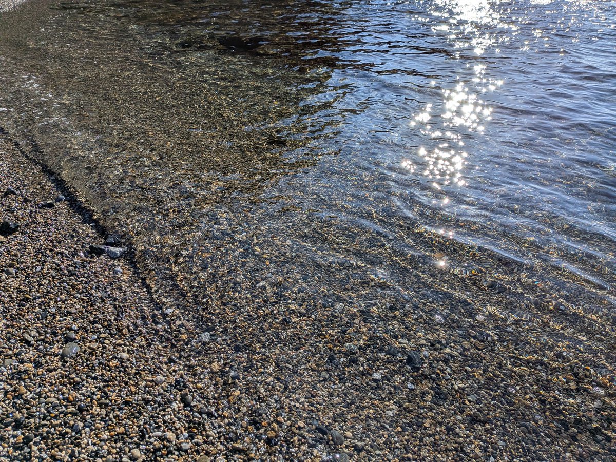 美帆子 ⸝꙳⋆ 砂浴アテンダント®︎ tweet media