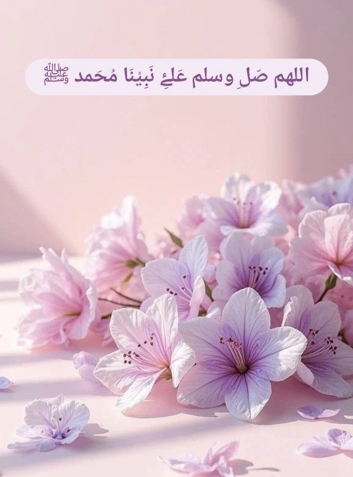 ﷽

﴿إن الله وملائكته يصلون على النَّبِيِّ ياأيها الذين آَمَنُوا صَلوا عليه وَسَلِّمُوا تَسْلِيمًا﴾

اللهـــم صَلِ وَسَلِمْ وَبَارِكْ عَلَى نبينَا مُحَمْـٓــــــد  وَعَلَى آلِهِ وَصَحْبِهِ أَجْمَعِيْنﷺ

#صلوا_على_الحبيب_محمد_ﷺ 
#صلوا_عليه_وسلموا_تسليما