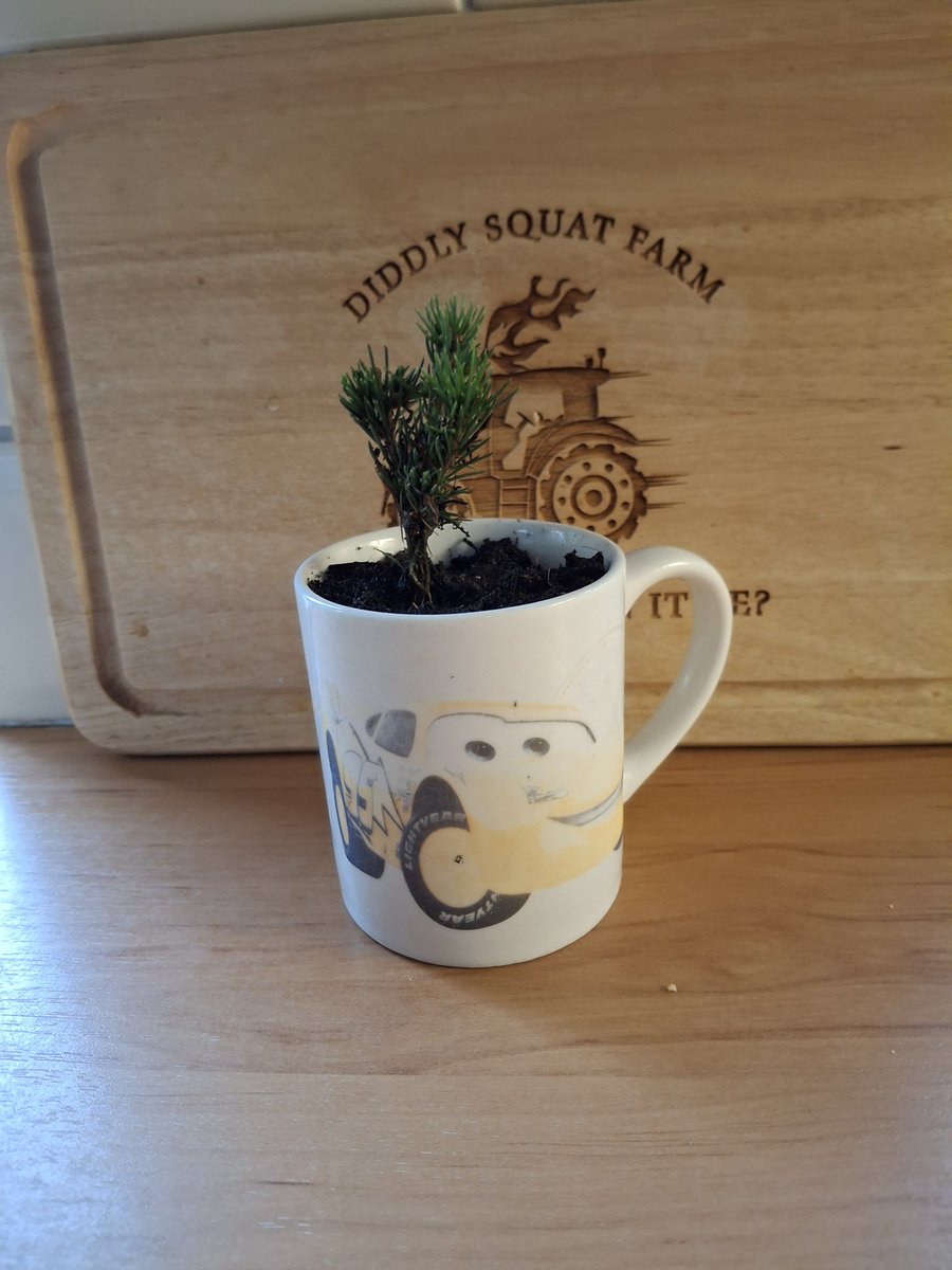 Rate my Christmas tree guys